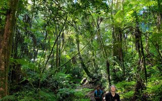 Exploring the secret beauty of Magamba Nature Forest Reserve