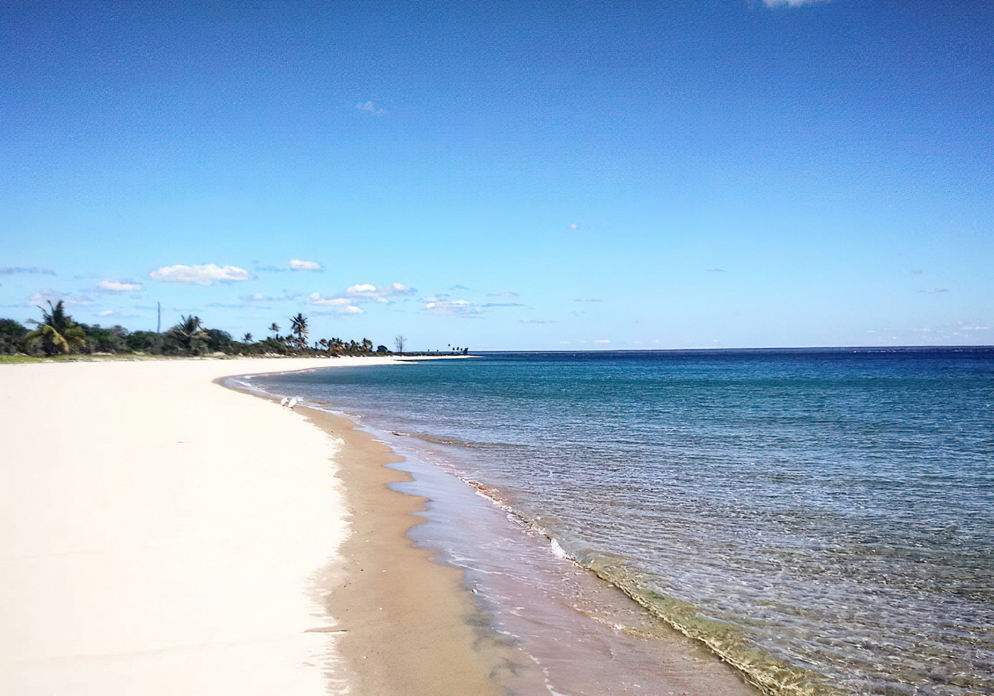Mnazi bay Ruvumba Estuary Marine Park