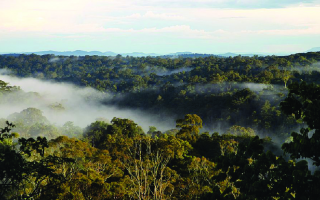 Kibale National Park Bird Checklist
