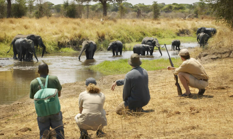 How to stay safe on your Tanzania Safaris Tours