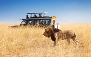 Which is the third largest national park in Tanzania