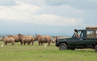 Frequently asked questions about Tanzania Tours