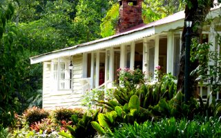 Best accommodation facilities at Kakamega Forest National Reserve