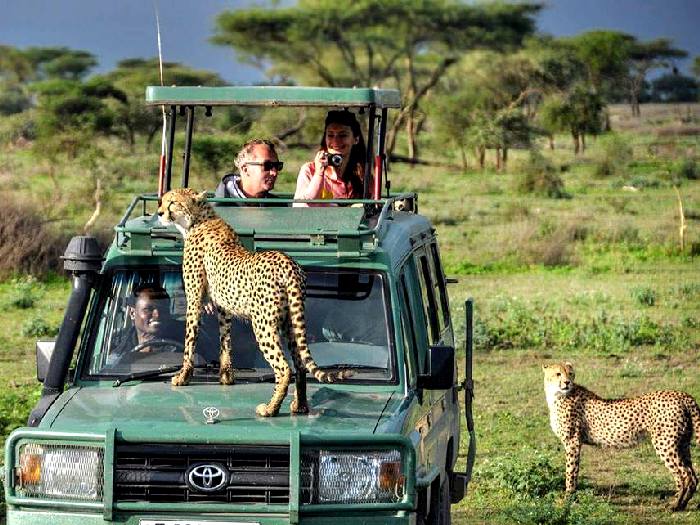 are safaris in tanzania safe