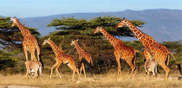 Best Places  To Camp This Christmas Season In Kenya