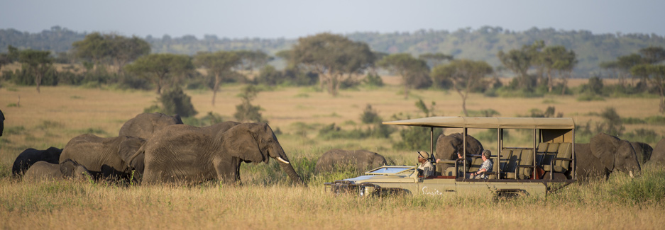 Luxury safari in Serengeti