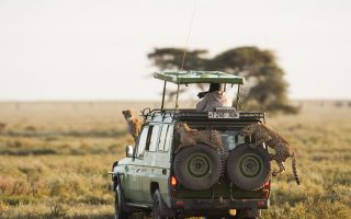 14 days Tanzania, Kenya and Zanzibar tour
