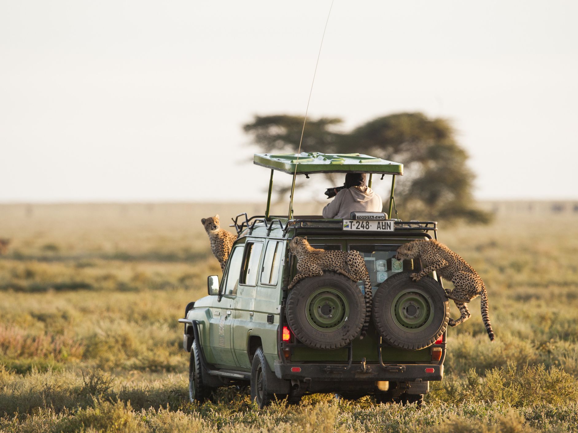 14 days Tanzania, Kenya and Zanzibar tour