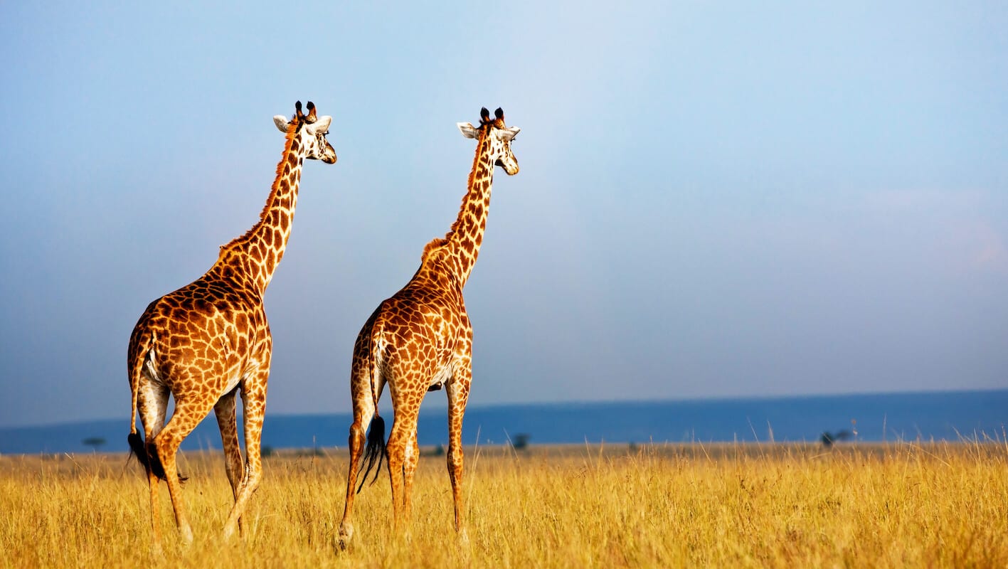 Safety in Uganda: Is Uganda Safe