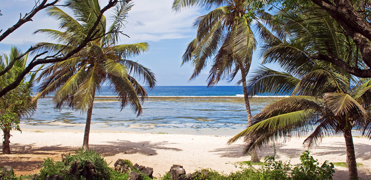 3 Days on Ssese Island Uganda Tour