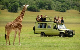 Safaris in Tanzania