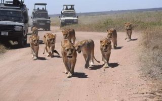 Tanzania Northern tourist circuit