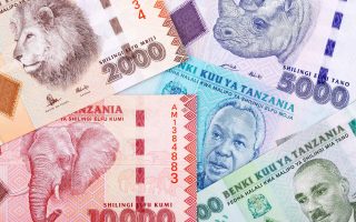 Tanzania currency for payments