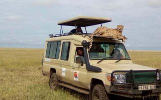 Is it safe to travel to Tanzania?