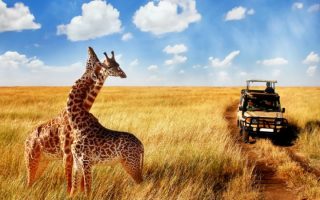 How to Book a Safari / Tour in Tanzania