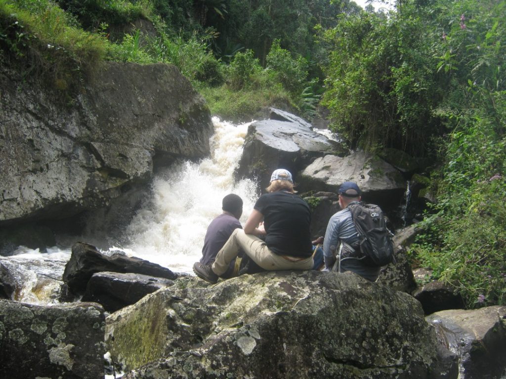 Experience The Umubasi Waterfall Hiking In Nyungwe