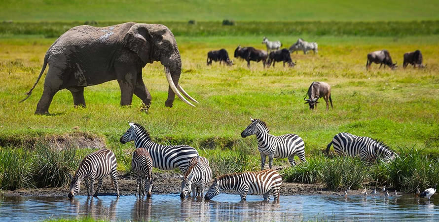 Most iconic places to visit in Africa