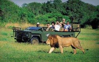 Travel to Kenya and Tanzania