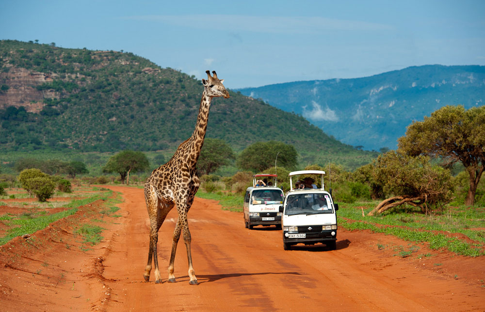 Activities to do at Tsavo East National Park
