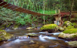 The best time to visit Udzungwa Mountains National Park