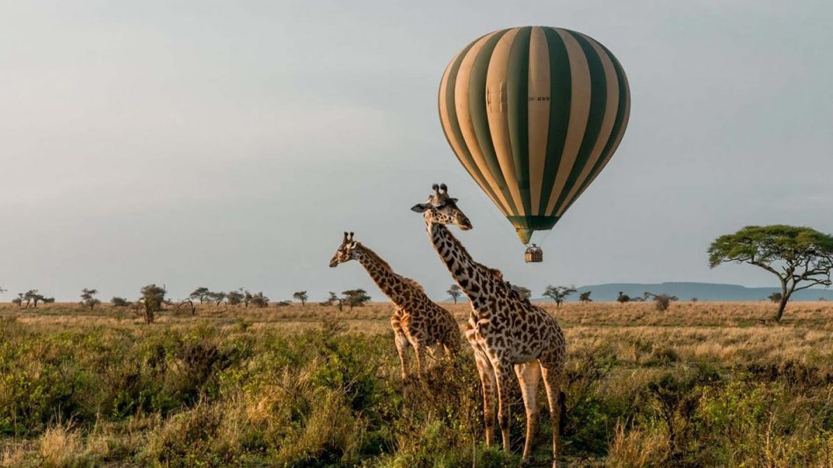 Hot Air Balloon Safaris in Murchison Falls National Park