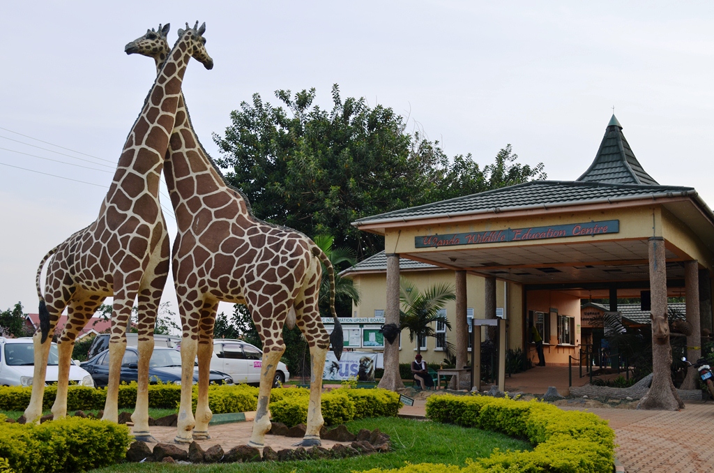 Uganda Wildlife Education Center - Volunteering safaris