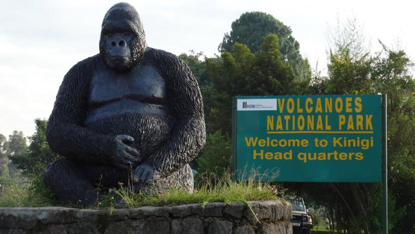 A Guide to planning a Holiday Safari Trip in Tanzania and Zanzibar