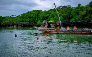Best time to visit Jozani Chwaka Bay National Park