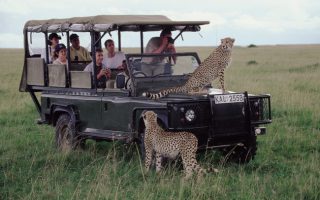 How to reach Aberdare National Park