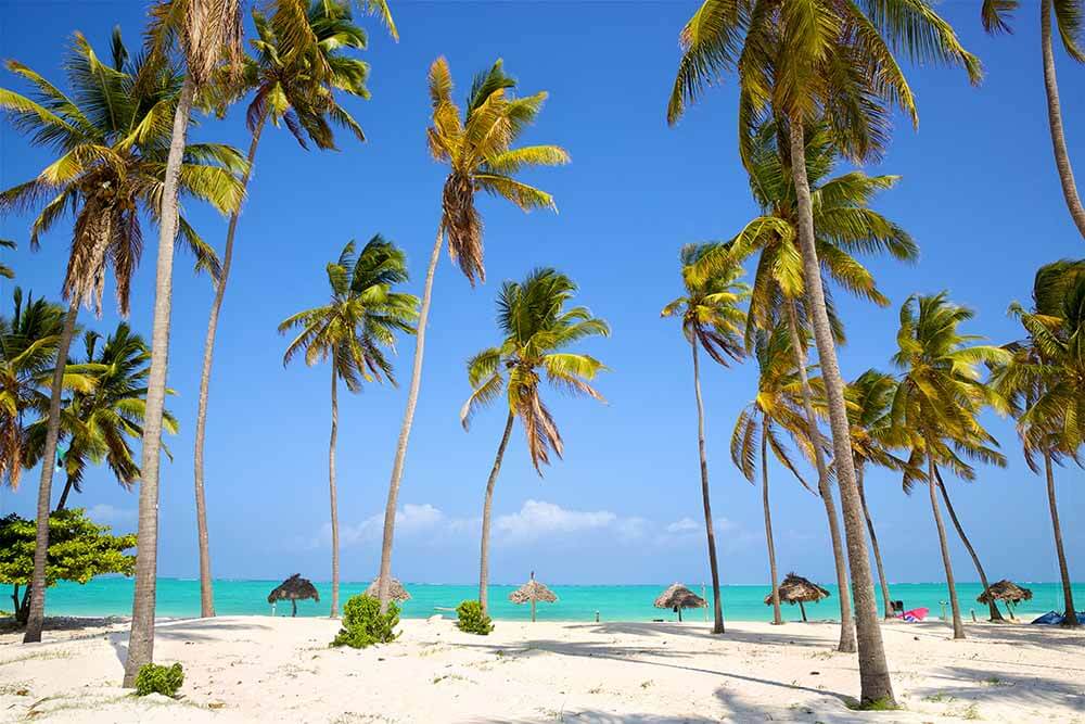 Zanzibar Beaches