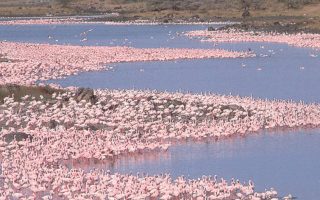 Top 10 things to do around Arusha