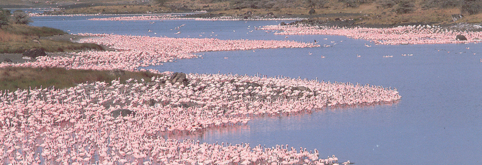 Top 10 things to do around Arusha