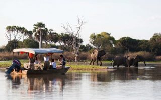 Game drive safaris in Nyerere National Park