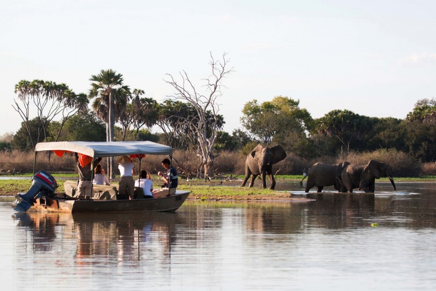 Explore the Tanzania Southern safari circuit