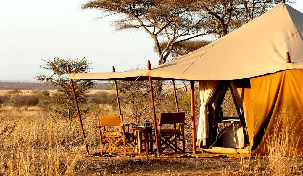 Camping Safaris