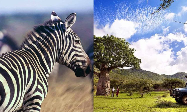 Best Time To Visit Chyulu Hills Kenya