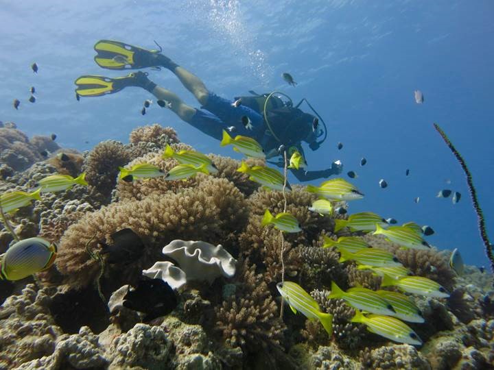 Exploring Maziwe and Toten Islands at Tanga Regions