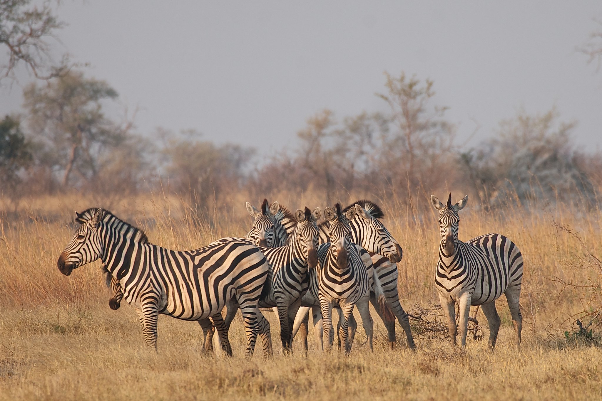 Discover East Africa On A Multi-Country Safari