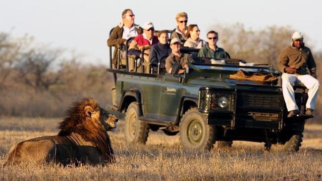 Top 10 tips for your first safari in Africa