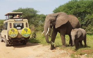 7 days Zanzibar, Kilimanjaro and Tarangire tour