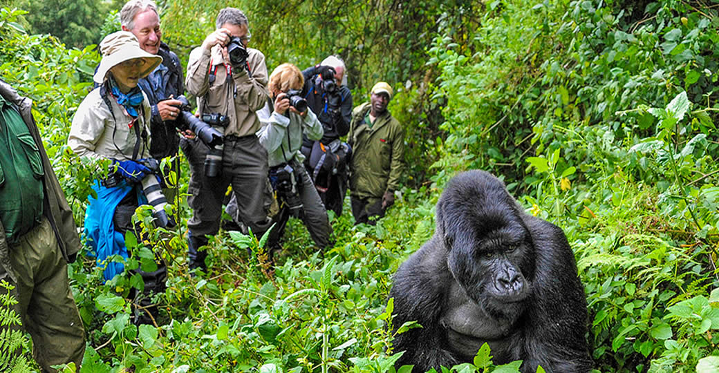 The Ultimate Guide to What to Pack For Gorilla Trekking Safari