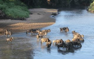 When is the Best Time to Visit Tanzania?