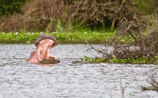 3 Days Lake Naivasha & Hells Gate