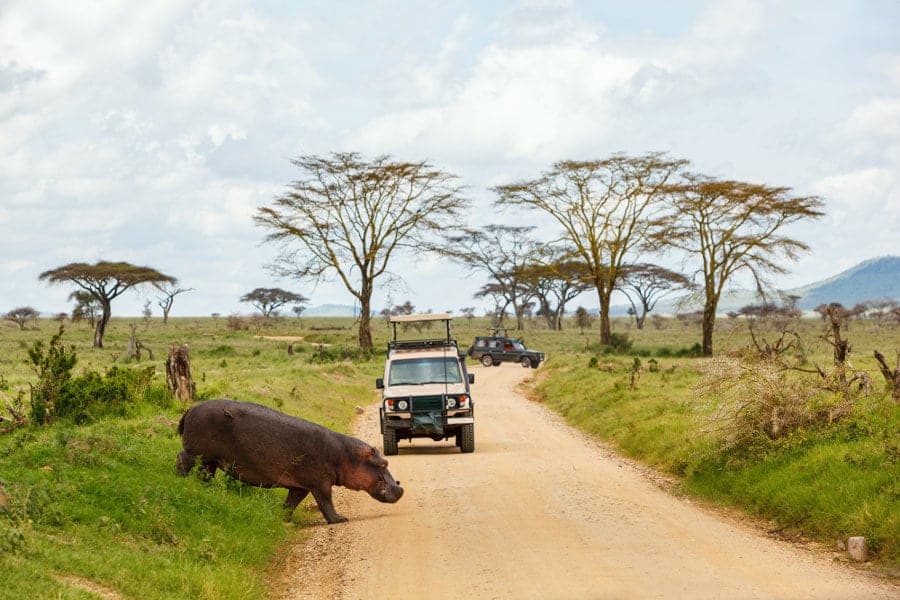  Tanzania safari tour