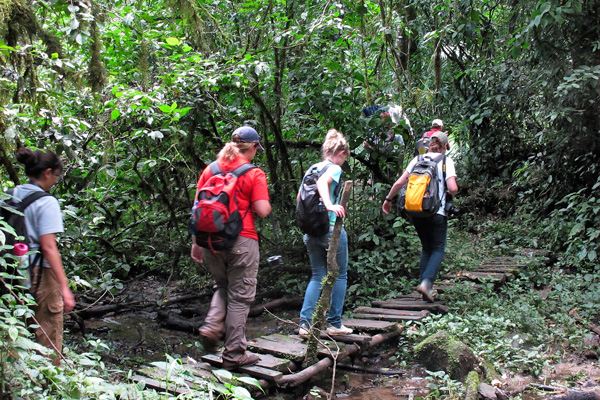 How to get to Kakamega Forest National Reserve