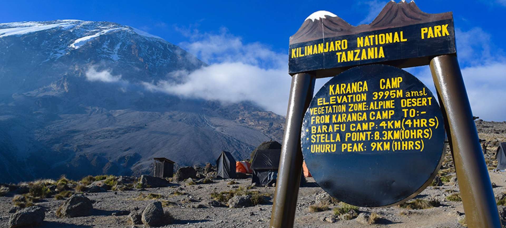 11 days Kilimanjaro hike and Bwindi safari