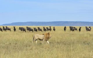 Which is the third largest national park in Tanzania