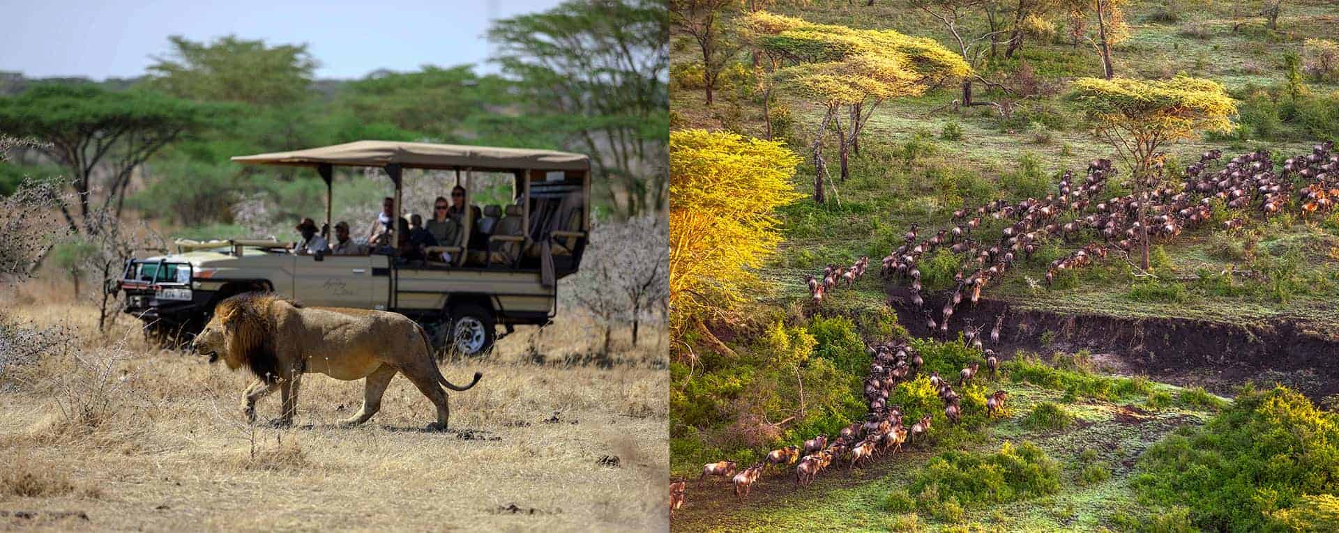 Serengeti National Park Regions