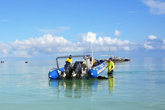 Diving Safari in Tanzania