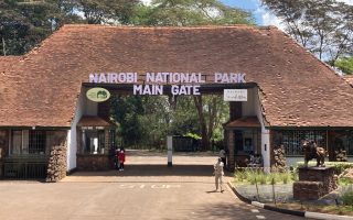How to get to Nairobi National Park